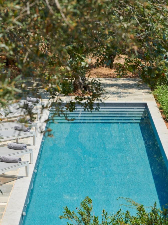 Bed and Breakfast Patrick & Joan Leigh Fermor House Kardamyli Exterior foto